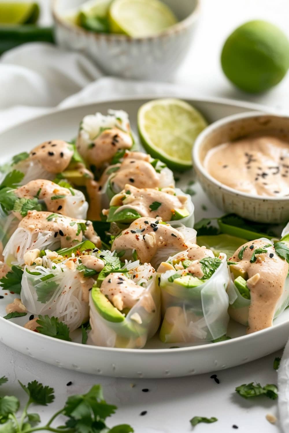 Avocado Chicken Summer Rolls with Coconut Peanut Dipping Sauce.