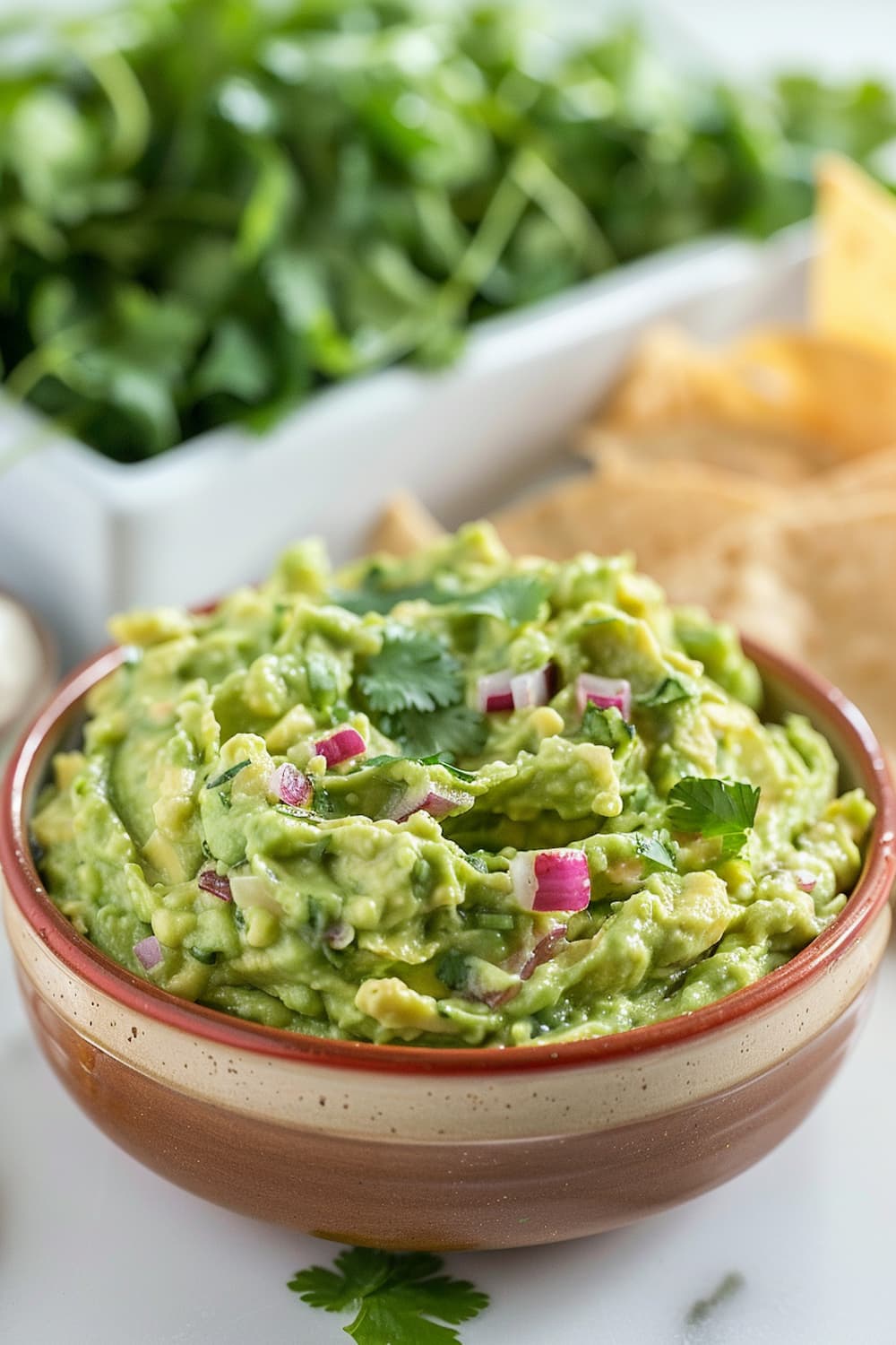 Individual Guacamole and Chip Packs