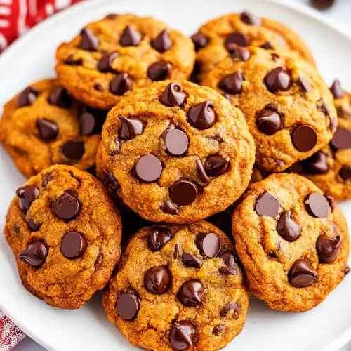 chocolate chip pumpkin cookies