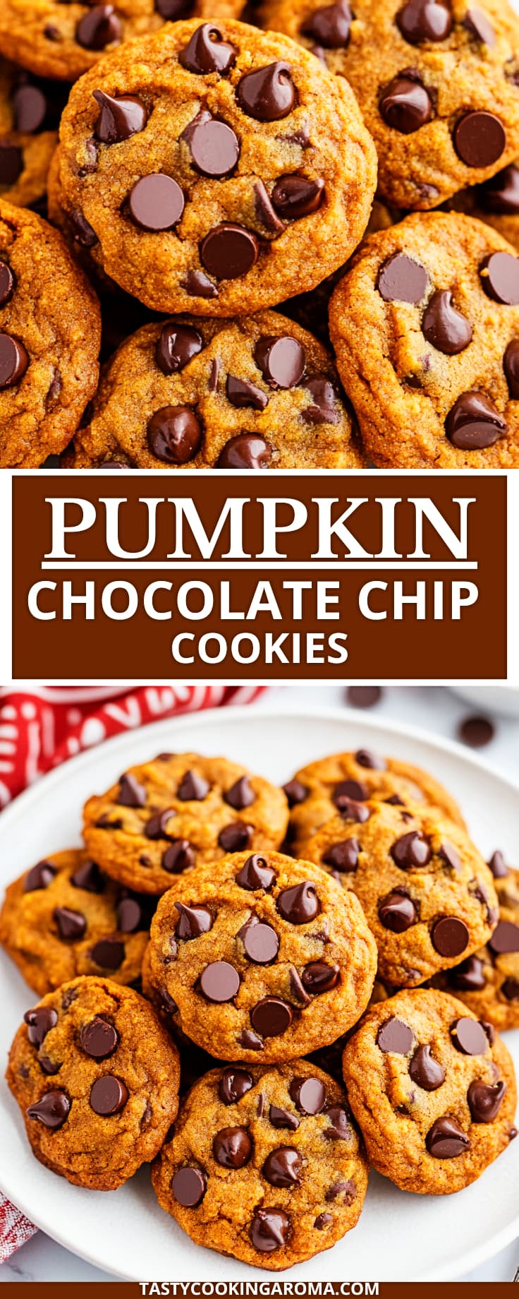 chocolate chip pumpkin cookies pin