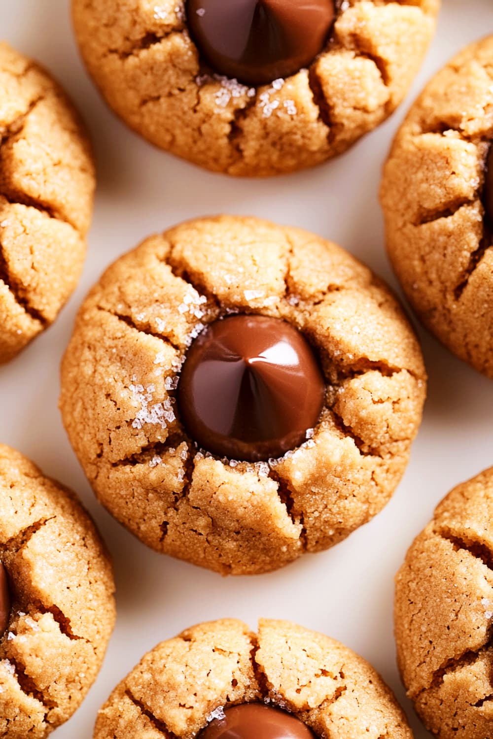 peanut butter blossom cookies